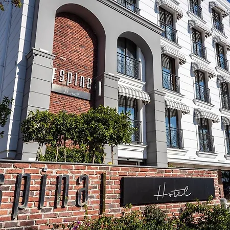 Hotel Espina 3*