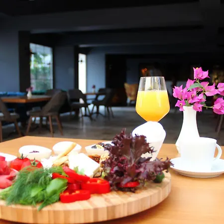 Hotel Espina 4*