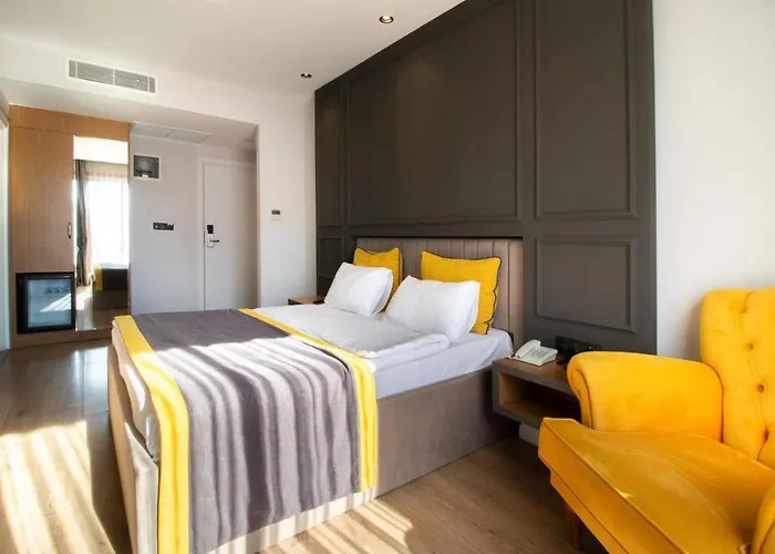 Hotel Espina